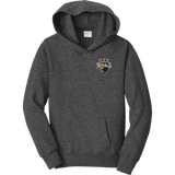 Queen City Royals Youth Fan Favorite Fleece Pullover Hooded Sweatshirt